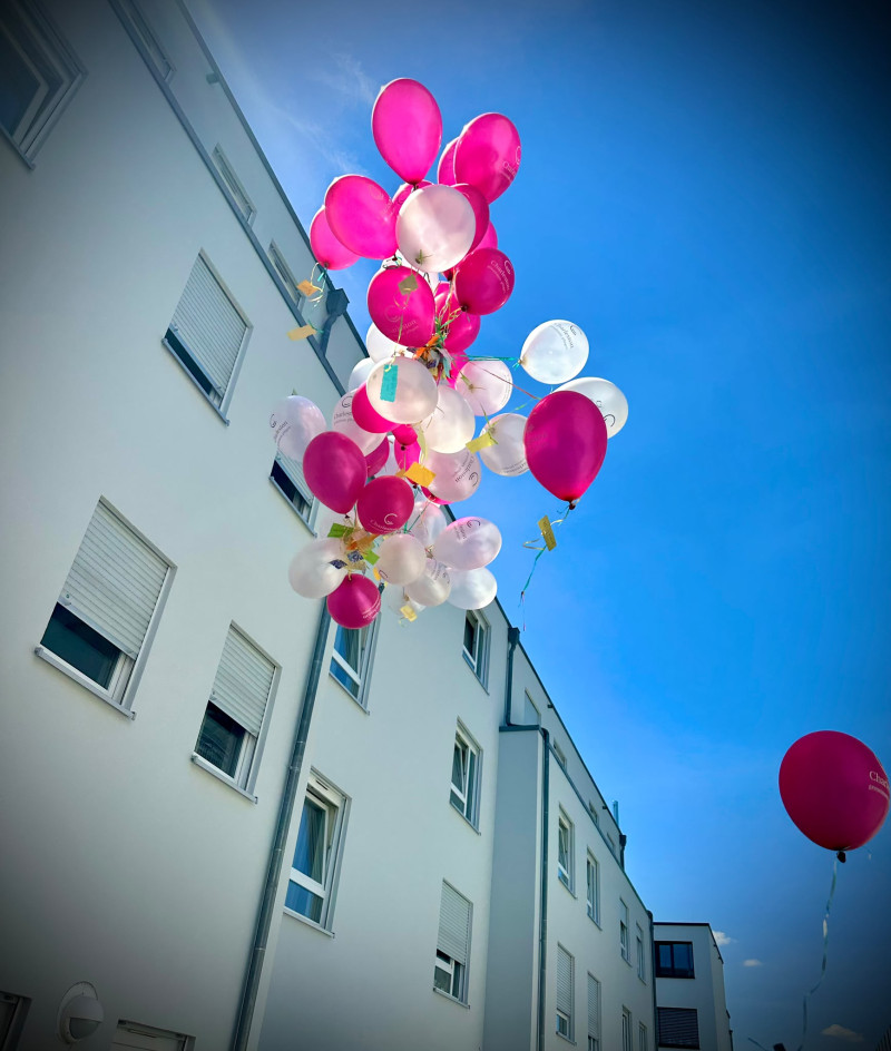 11 Sommerfest 4