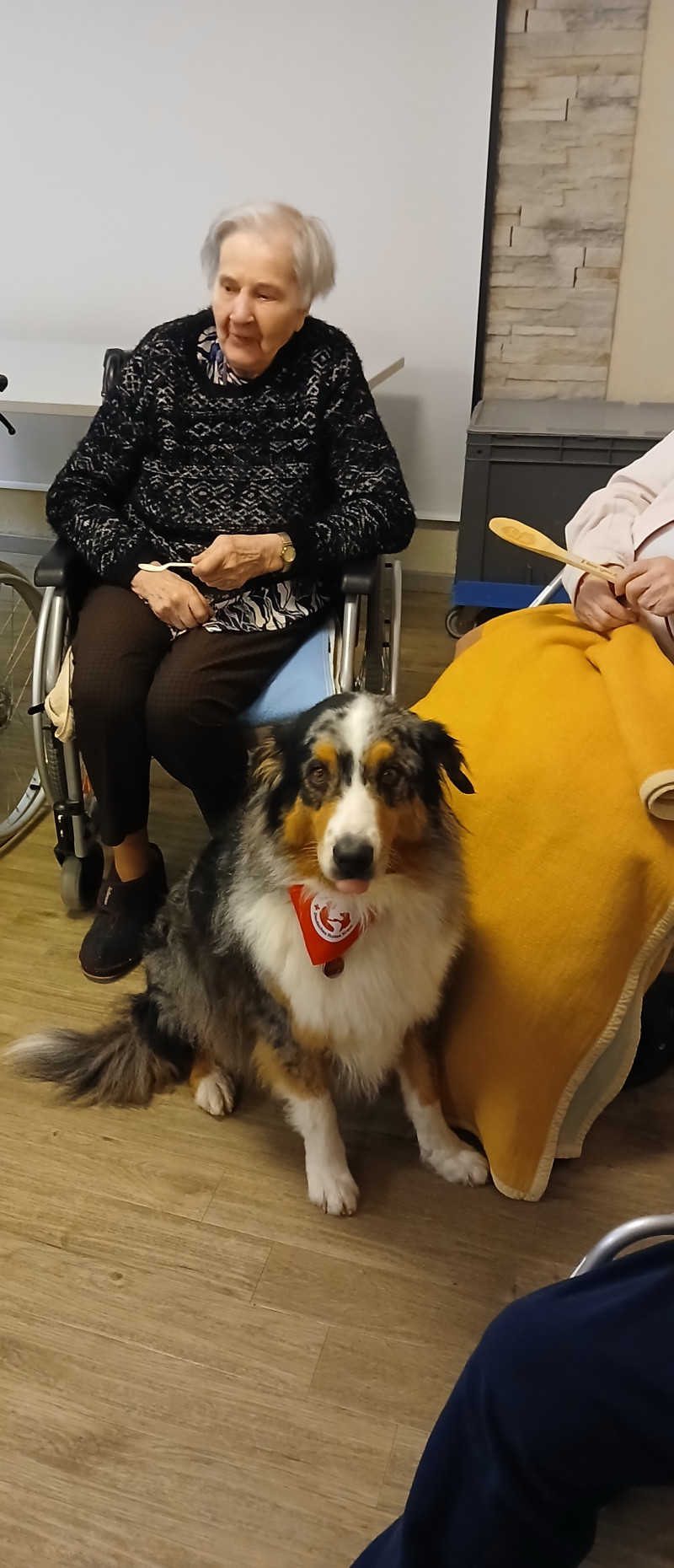 8 Therapiehunde DRK 1