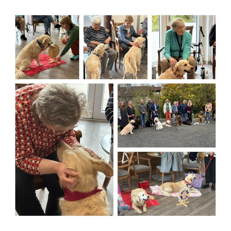 Abschlusspr FungHunde2025