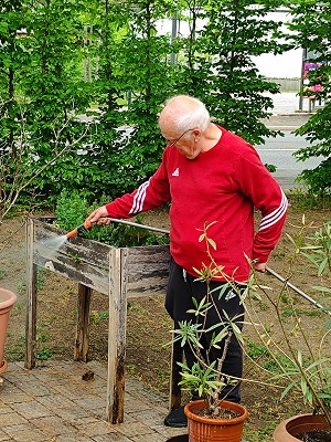 Bild26.jpg