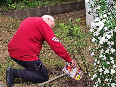 Bild38.jpg