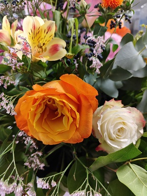Blume7