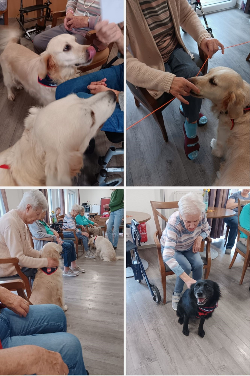 Hundegruppe2025 01