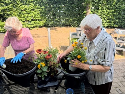Sommerwoche11.jpg